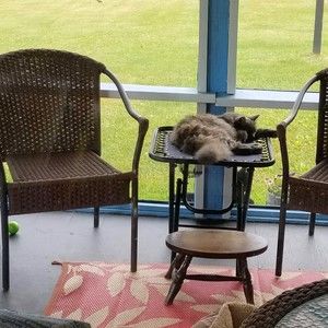 Meet your Posher, Charlene